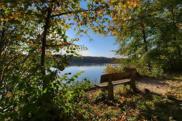 还需要有强 还需要有强