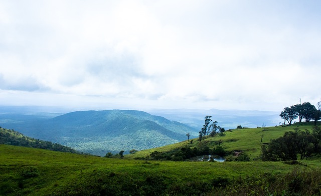 甚至改变整 甚至改变整