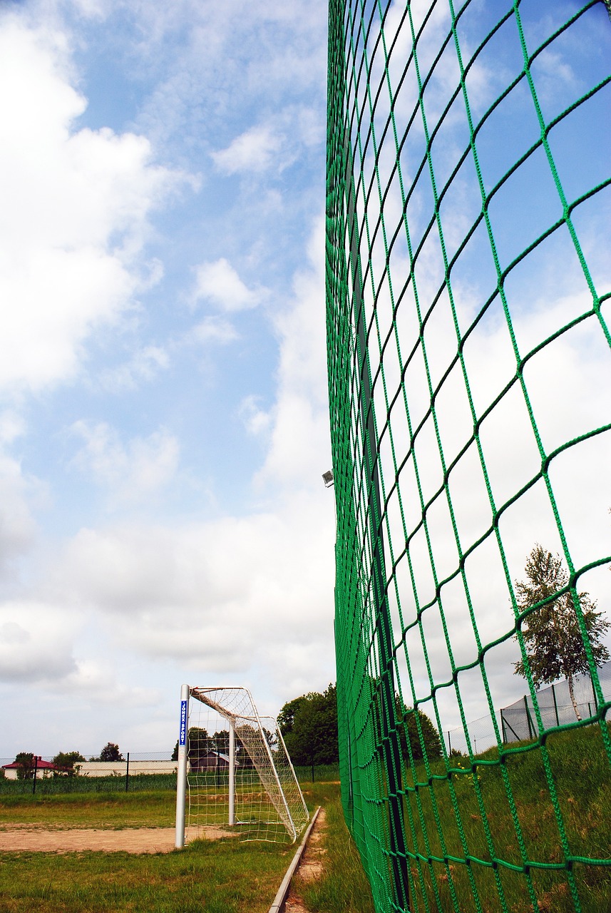 又反映了当 又反映了当