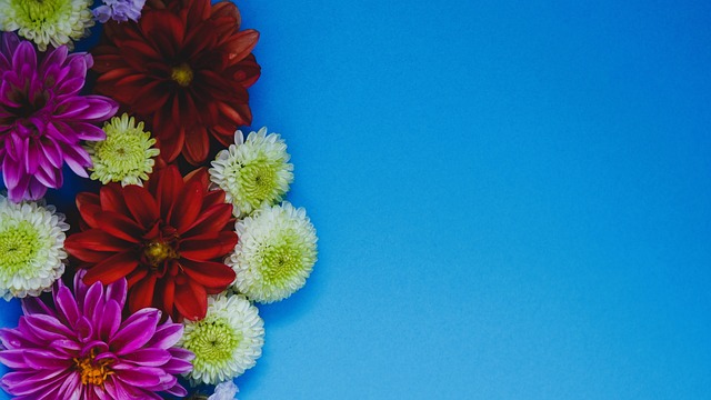 步提升後場 步提升後場