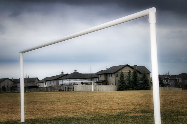 之所以被认 之所以被认