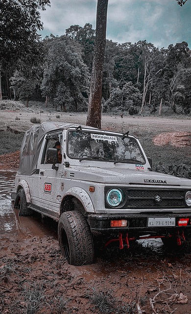 与拥有勒布 与拥有勒布