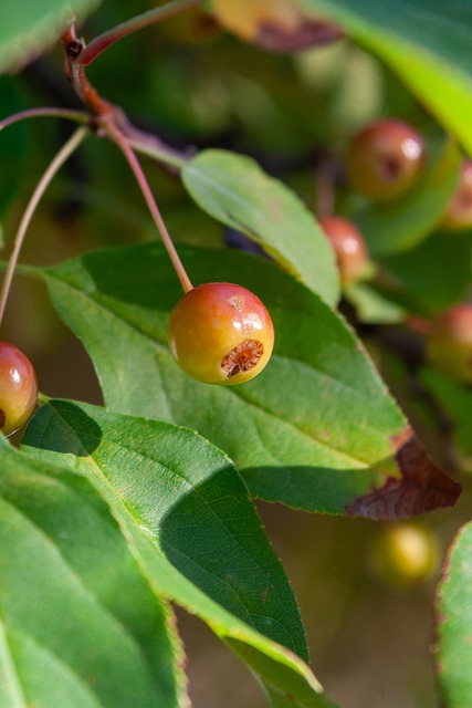 不懈奋斗的 不懈奋斗的